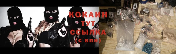 первитин Михайлов