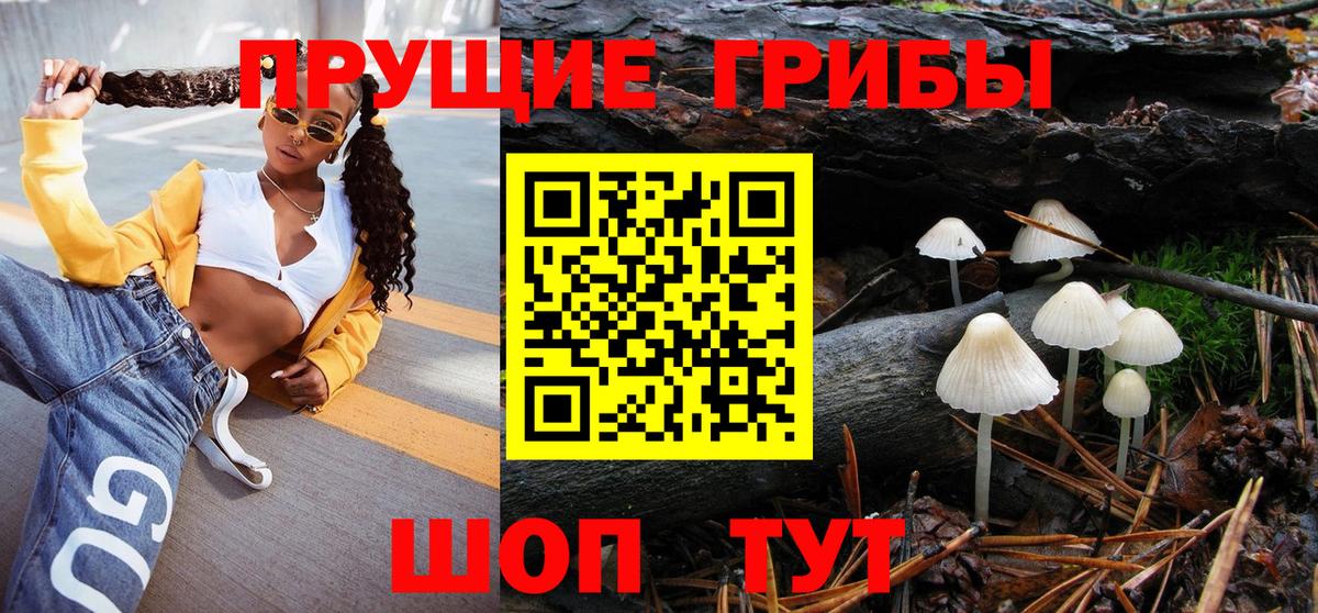 Псилоцибиновые грибы Cubensis  Вход с VPN  Оренбург 