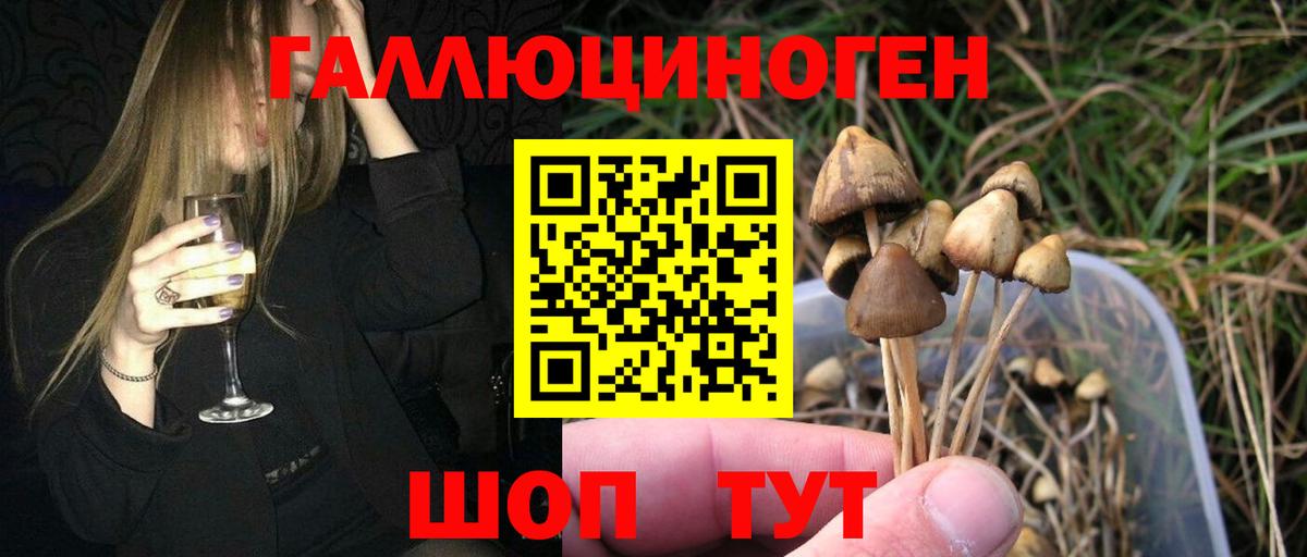 Псилоцибиновые грибы ЛСД Оренбург
