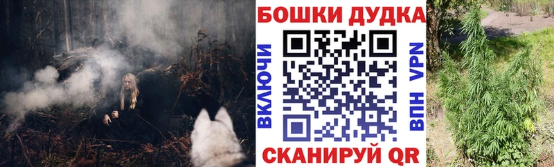 закладки  hydra вход  Бошки Шишки сатива  Оренбург 